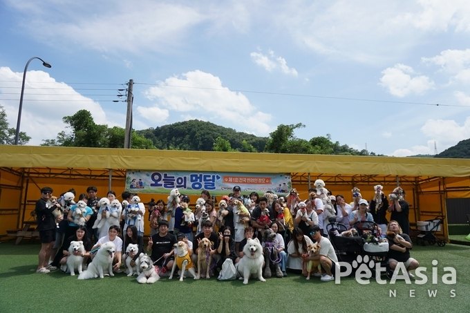 전국 반려인 100여 팀이 한자리에…'오늘의 멍딜' 첫 정모, 가을 시즌까지 이어진다.
