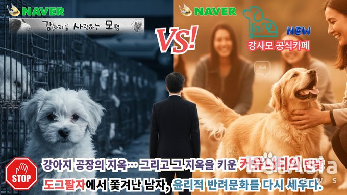 번식장을 키운 커뮤니티? 그 안에서 강퇴당한 사람이 만든 ‘새 강사모’ NAVER 2개의 강사모 커뮤니티?