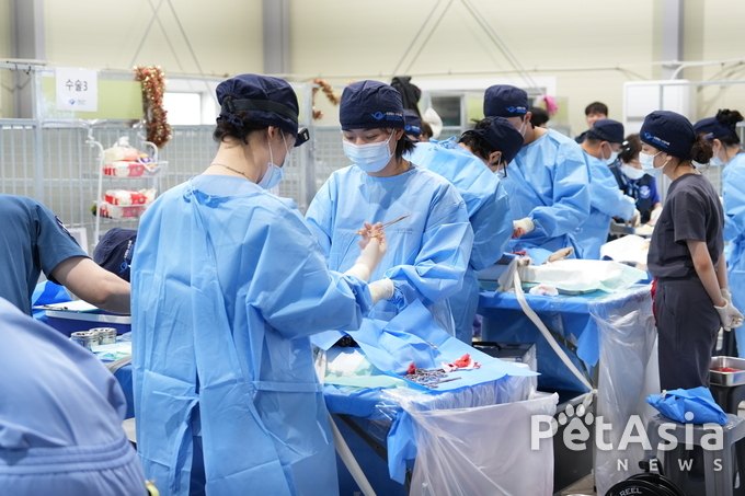 국경없는수의사회, 폭우속에서도 빛난 따뜻한 손길! 유기견의 내일을 열다