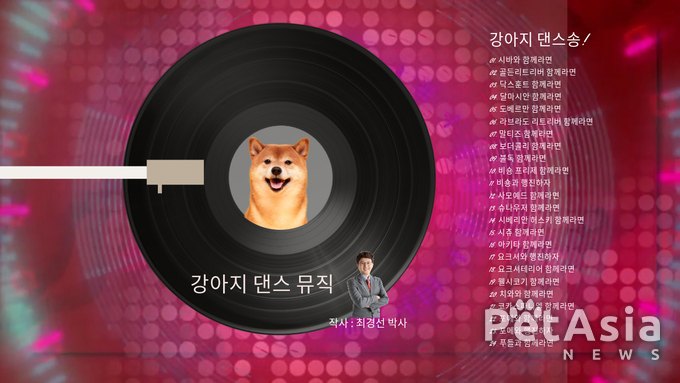 강아지가 춤을 춘다고? 반려견 맞춤형 댄스송 24곡 공개! 견주들 반응 폭발