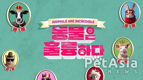 KBS ‘동물은 훌륭하다’, 동물 학대 전력자 출연 논란… 시청자들 “반려동물 보호 취지와 맞지 않아”