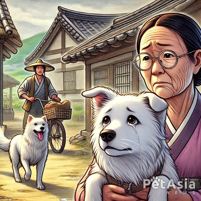 죽을 고비 넘기며 7개월 동안 300km… 백구가 집을 찾아온 이유는?
