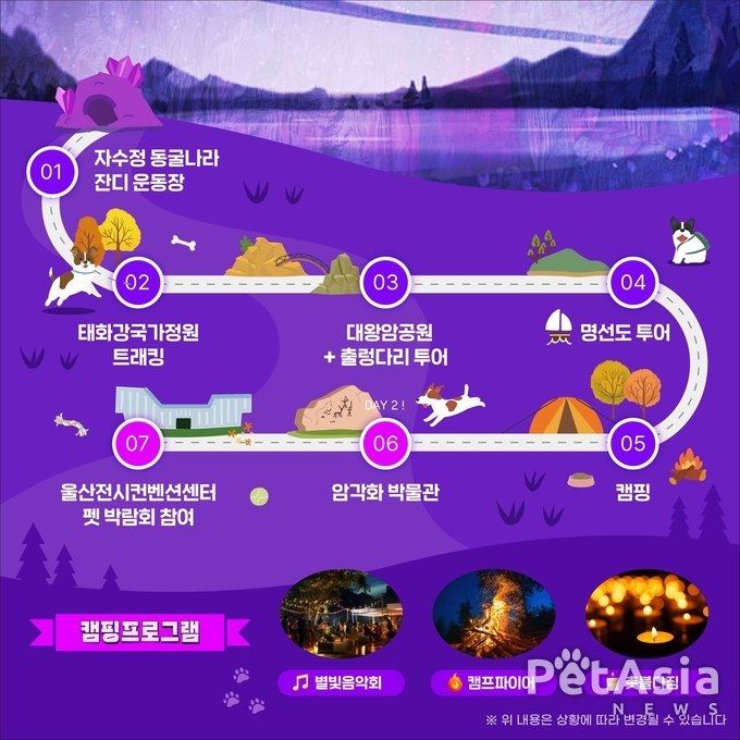 2024 울산 펫관광 페스타, 반려동물과 함께하는 특별한 추억 여행