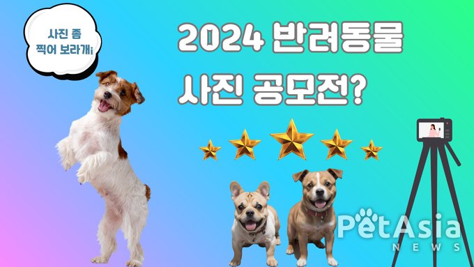기대가 되는 2024 반려동물 사진 공모전! 순천시에서 개최!