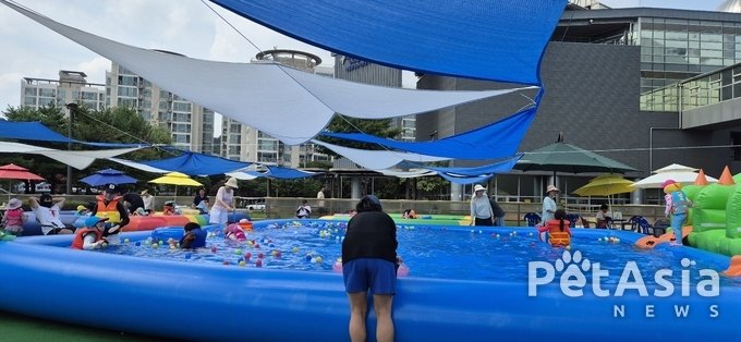 2024 광진 시티 오아시스, 여름의 무더위를 잊게 해줄 특별한 축제
