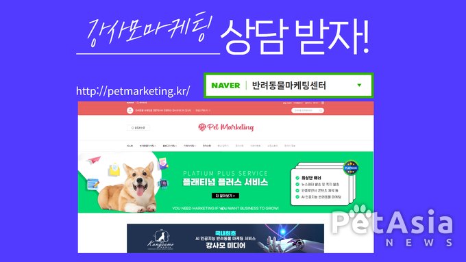 강사모 카페 마케팅이 반려동물 산업의 혁신적 마케팅 서비스로 주목받는 이유?