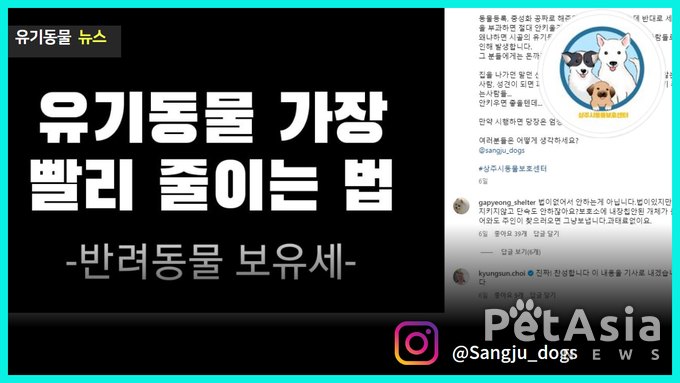 반려동물 보유세 도입, 시골 유기 동물에 대한 새로운 시각!
