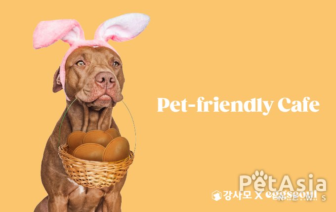 정승환 대표의 에그서울, 청담동에 펫프렌들리 매장 문 열어
