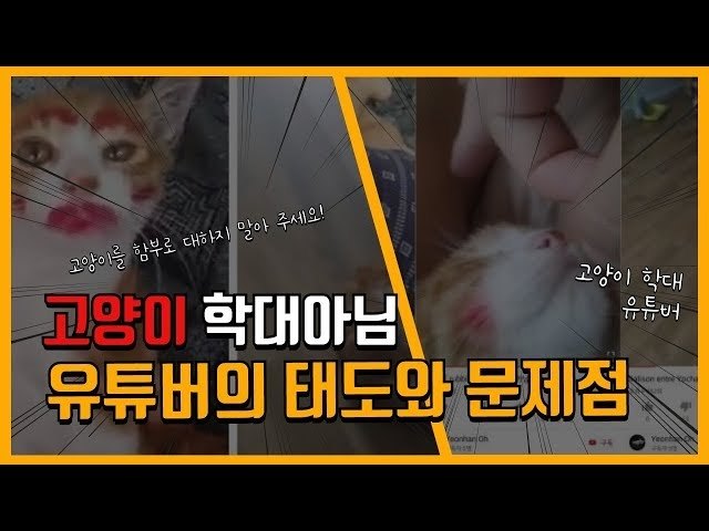 고양이에게 화장하는 것이 학대인 줄 모르는 동물학대 유튜버가 늘고 있다!