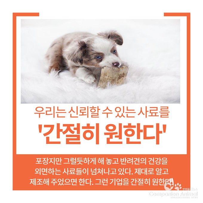 반려견 사료의 진실? 동물병원에서 왜 추천했을까?