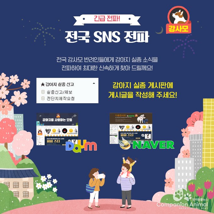 지난 2016년 4월 8일  전주 서신동 천변에서는 코코라는 강아지가 실종됐다. 제보를 요청!