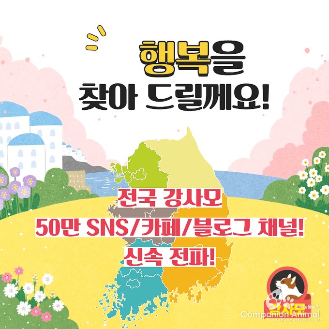 지난 2016년 4월 8일  전주 서신동 천변에서는 코코라는 강아지가 실종됐다. 제보를 요청!