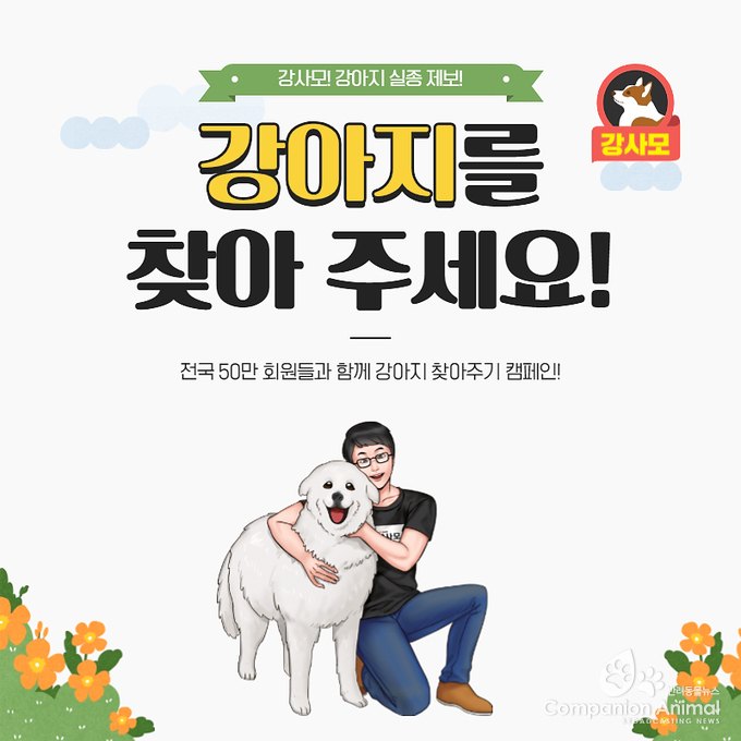 지난 2016년 4월 8일  전주 서신동 천변에서는 코코라는 강아지가 실종됐다. 제보를 요청!