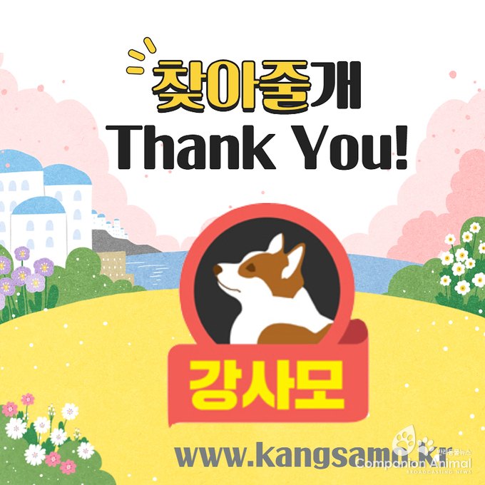 지난 2016년 4월 8일  전주 서신동 천변에서는 코코라는 강아지가 실종됐다. 제보를 요청!