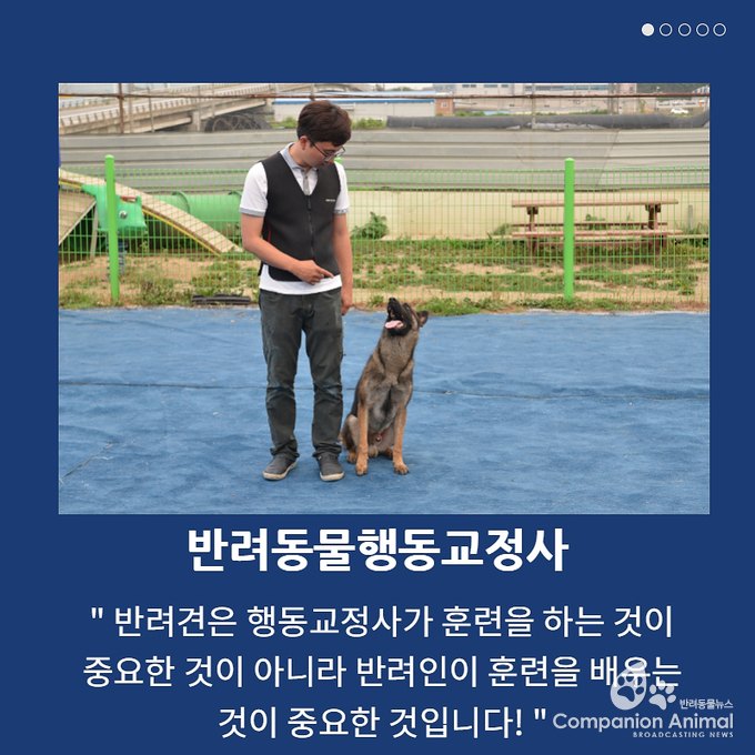 좋은 반려동물행동교정사란 무엇일까?