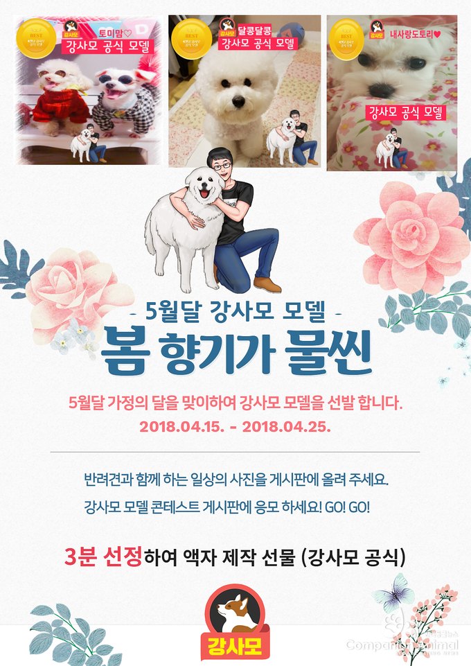 전국 강사모 반려견 모델 콘테스트, 5월 가정의 달을 맞이하여 열려