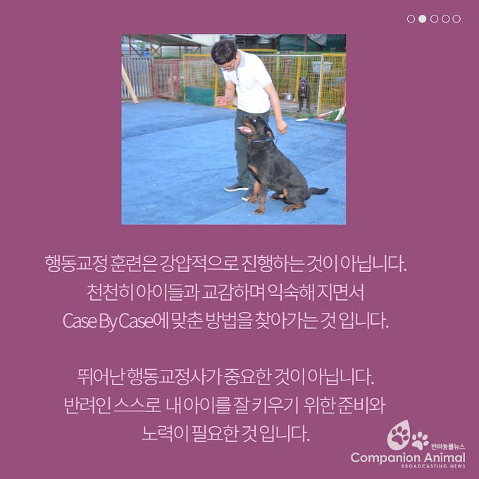 좋은 반려동물행동교정사란 무엇일까?