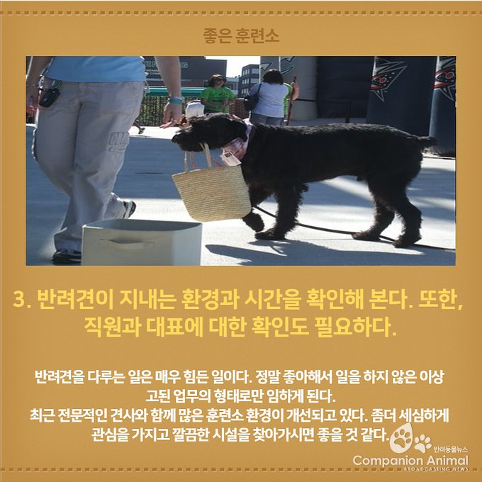 좋은 훈련소 고르는 법 Top5