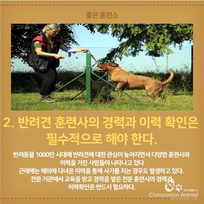 좋은 훈련소 고르는 법 Top5