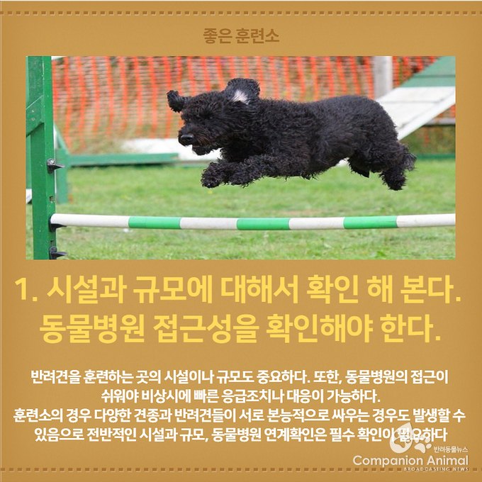 좋은 훈련소 고르는 법 Top5