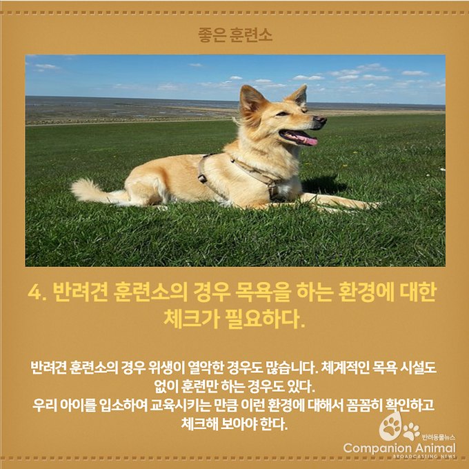 좋은 훈련소 고르는 법 Top5