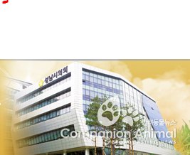 성남시의회, 성남시의사회 신년인사회 참석