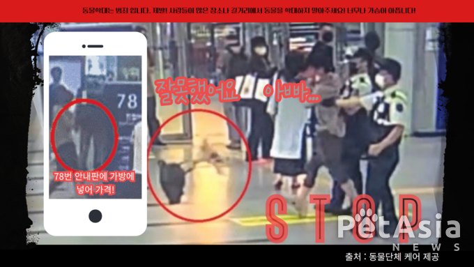 "퍽" "퍽".... 평택역에서 강아지를 안내판에 심하게 내리치고 바닥으로 내던진 학대남성! 충격(영상)