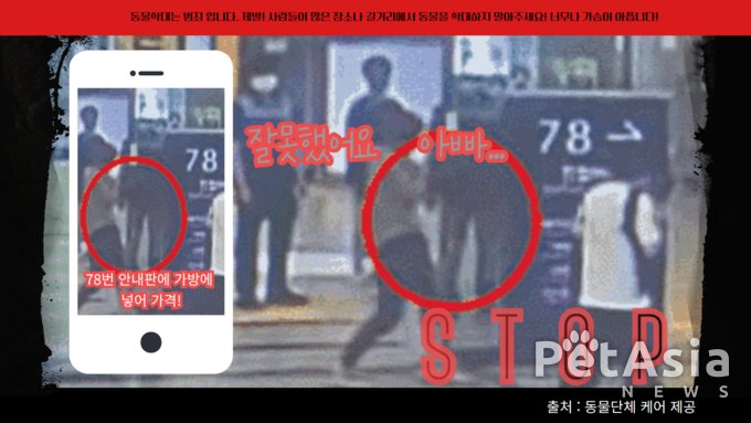 "퍽" "퍽".... 평택역에서 강아지를 안내판에 심하게 내리치고 바닥으로 내던진 학대남성! 충격(영상)