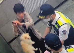 "퍽" "퍽".... 평택역에서 강아지를 안내판에 심하게 내리치고 바닥으로 내던진 학대남성! 충격(영상)