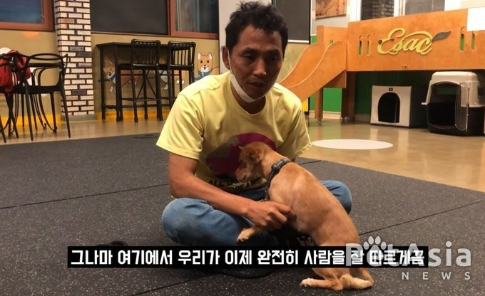 야생 유기견! 불암산 정상을 떠돌던 누렁이 "반려견 되다!" 유튜브 이찬종TV "대공개"