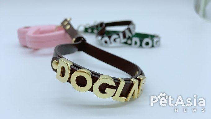 댕댕이 지켜줄게! 새로운 애견산책 도우미 "도그랩 안전팔찌" 와이즈 펀딩으로 런칭!