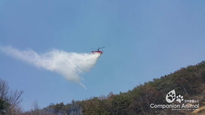 경남도, 정월대보름 산불방지 총력 대응