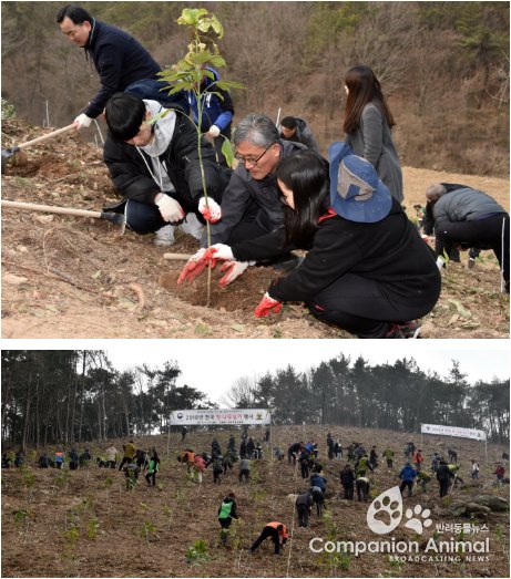 산림청 2018년 전국 첫 나무심기 행사 열어
