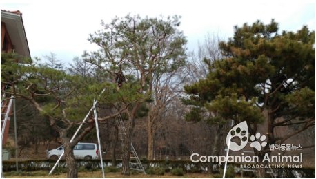 산림청, '가로수 기술자 과정 1, 2기' 265명 배출