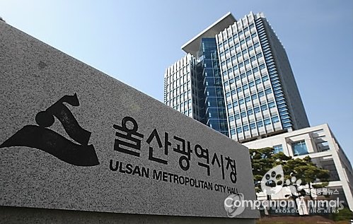 태화강대공원 등 수목 전정작업 부산물 ‘우드칩’생산하여 녹지대 관리에 재활용