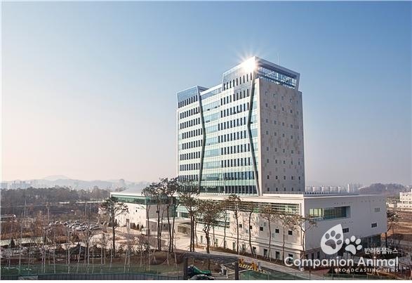 도로교통공단 설연휴 전날 오후 6~8시에 교통사고 가장 많아