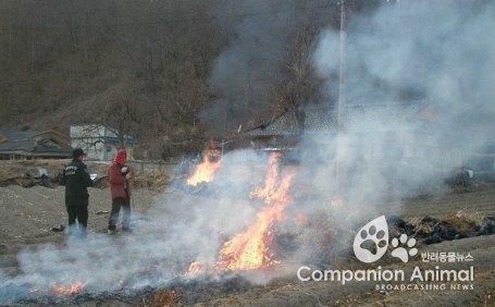 산불위기경보 '주의'로 상향, 건조주의보 전국으로 확대