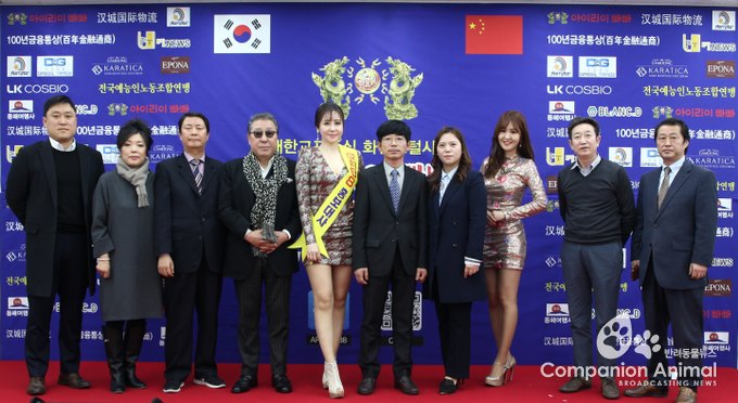 최초 화인 포털사이트 '아이리이빠빠(愛利 88)' 개통식 개최。 ‘아이리이빠빠’, 재한 교포중심 최초 화인 포털 사이트 성대한 출범식 가져