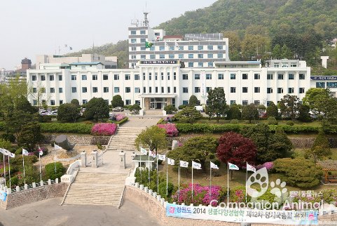 강원도 다문화가족·한부모가정을 위한 특별한 나눔행사