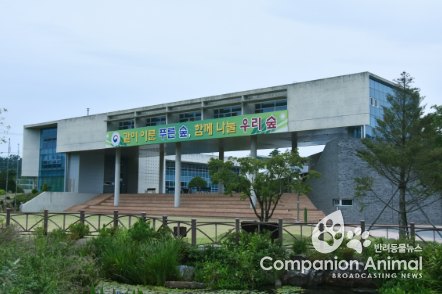 관리하기 어려운 산, 산림청이 매수합니다!