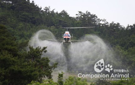 산림청, 소나무재선충병 전국 항공예찰