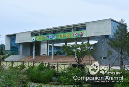 국·사 구분 없는 방제로 소나무재선충 방제성과 탁월!