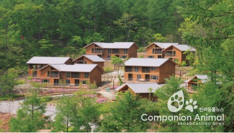산림청, 국유 산림복지시설 객실료 30~50% 감면