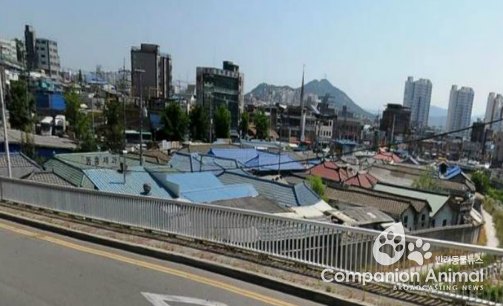 경기도 김정영의원, 안골마을주민위해 재정비촉진관련5분발언