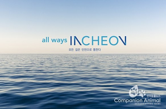 부평미군기지 환경오염 및 정화방안 정부합동설명회 개최