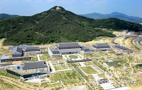 경북도, 독자적인 지진대비시스템 구축...日 효고현 사례에서 배운다