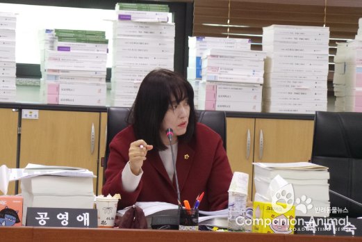 공영애의원 경기 공영애의원,예결특위 본예산 심의