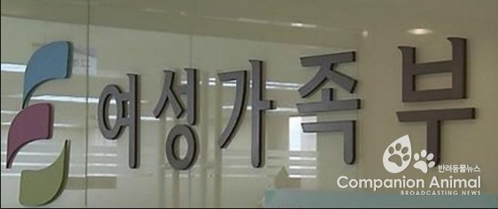 가정폭력 피해를 극복하는 데 함께해 온 이야기들