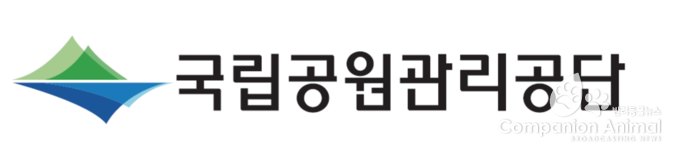 주왕산에도 멸종위기종 산양이 산다