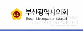 부산시의회 수영만 요트경기장 계류비 인상 추진